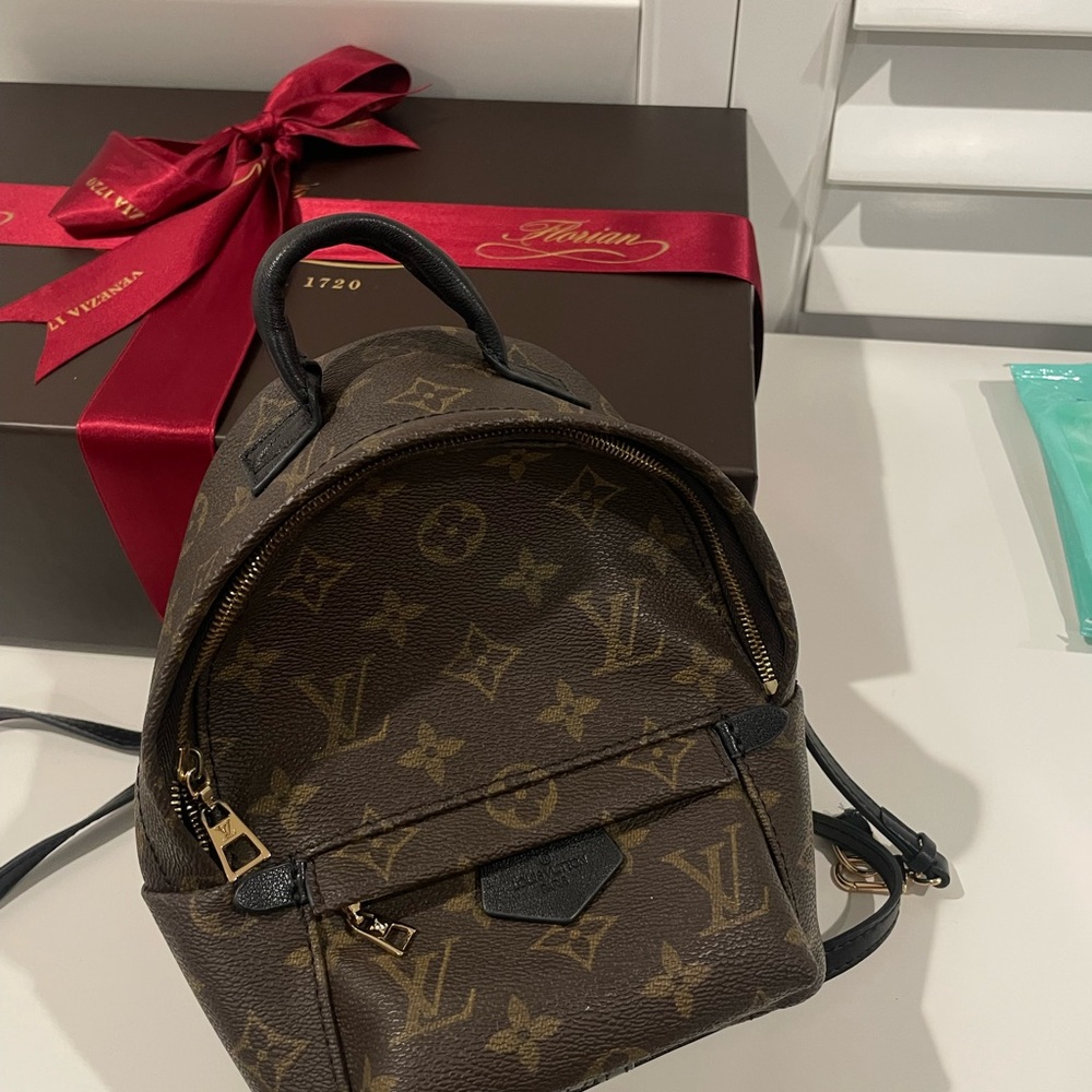 Louis Vuitton Palm Springs Backpack